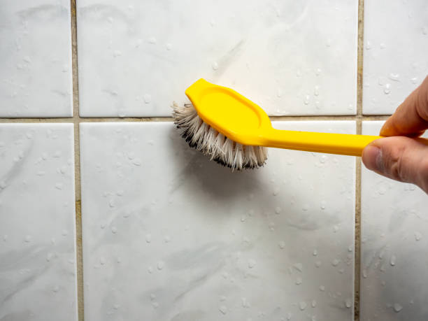 Best Mold Removal Specialists  in Mayville, NY